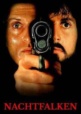 Nachtfalken