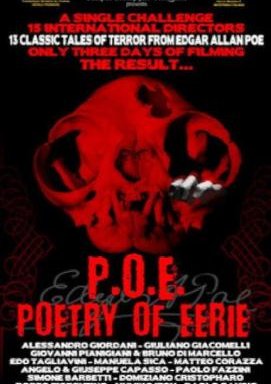 Edgar Allan Poe - Geschichten des Wahnsinns