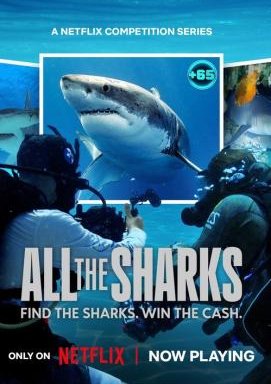 All the Sharks - Staffel 1