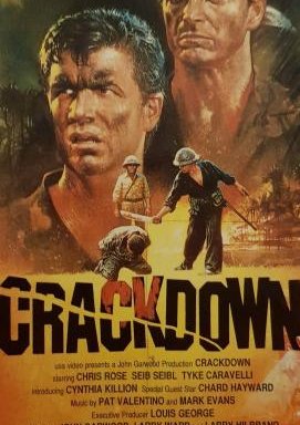 Crackdown